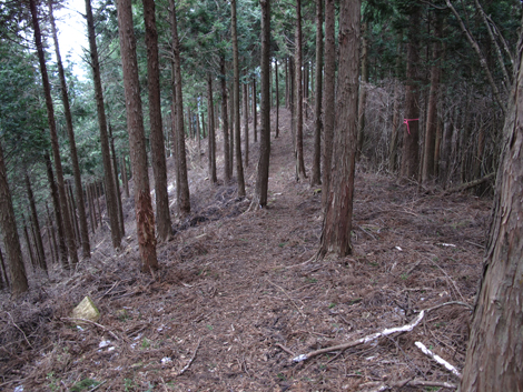 20160121hike (251)